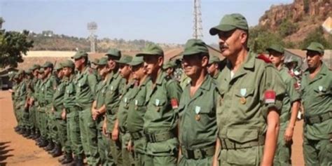 القوات المسلحة الملكية "تكشف حقيقة" تحرك أسلحة ثقيلة نحو وجدة - بلبريس