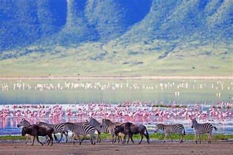 Tanzania Tourism, Places to Visit in Tanzania,Tanzania Tour and Travel ...