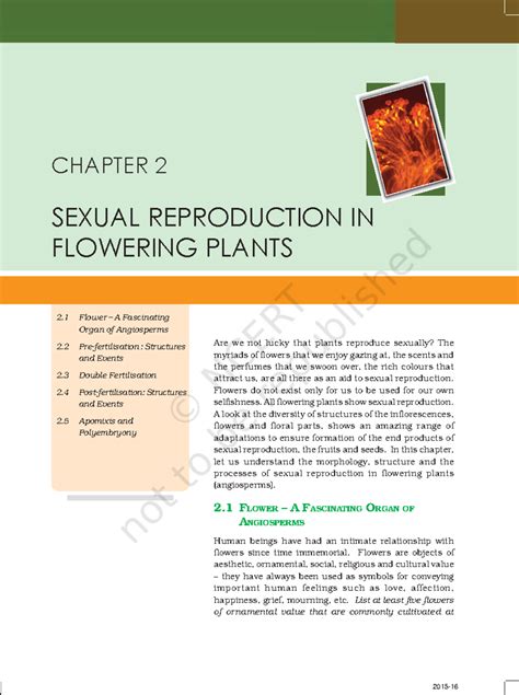 Lebo102 - Nnmm - Are we not lucky that plants reproduce sexually? The ...