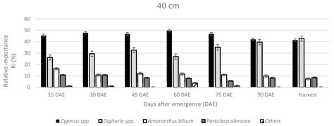 Effect of Row Spacing in the Period Prior to Weed Interference in ...