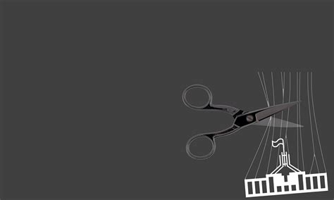 Image result for State Capture