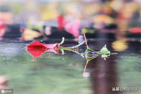 一层秋雨一层凉,一瓣落花一脉香是什么意思_一层秋雨一层凉,秋雨绵绵秋意长 - 励志人生