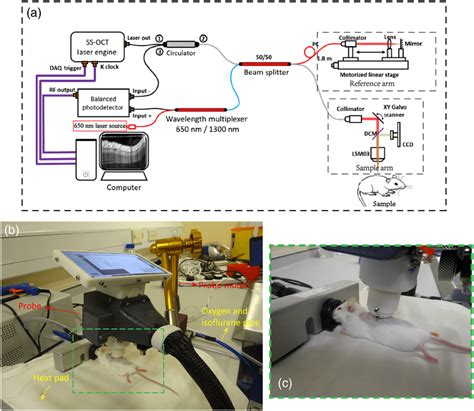 Image result for Octa Development History