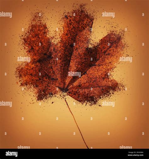 Image result for Maple Trees Exploding