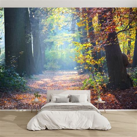 Modern Wallpaper Murals 3D Sun flowing tall ancient golden beech trees ...