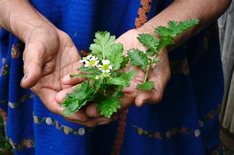 BILLIONAIRE Magazine | BLLNR | Steam Power