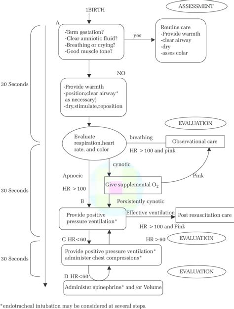 Image result for Neonatal Resuscitation Algorithm