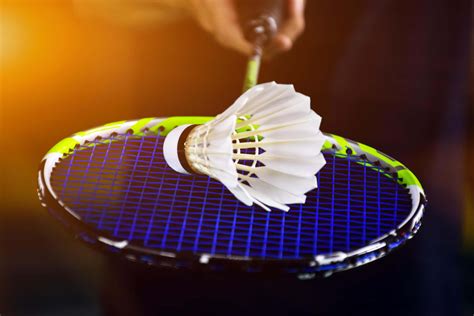 Badminton Theme 的图像结果