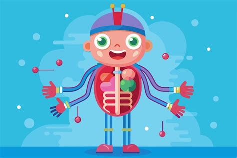 Image result for Cardiovascular System Cartoon