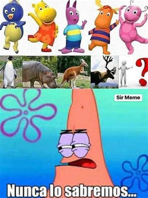 Image result for Que ES Backyardigans Meme
