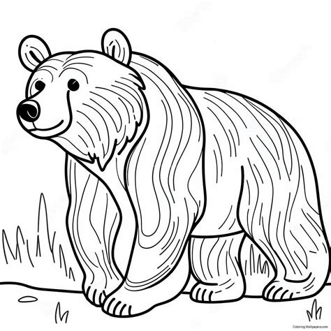 Grizzly Bear Coloring Pages