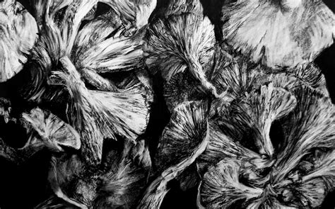 Image result for Bo3 Drawing