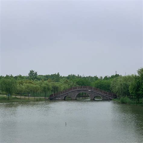 Pudong Jinhai Wetland Park (Shanghai) - 2021 What to Know Before You Go ...
