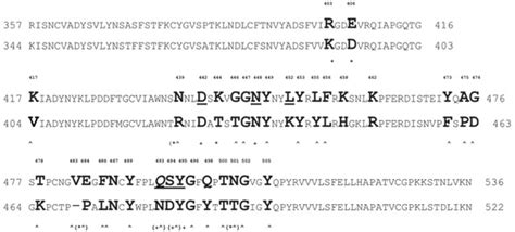 Phage-Displayed Mimotopes of SARS-CoV-2 Spike Protein Targeted to ...