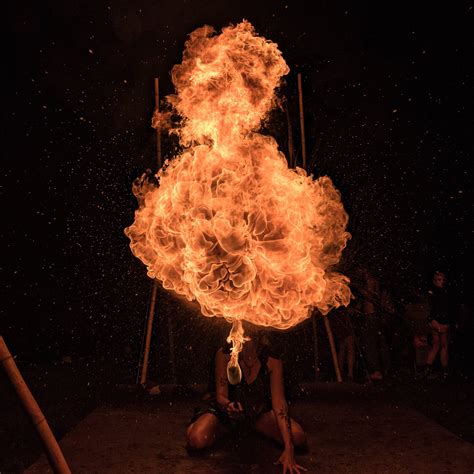 Image result for Pyrogryphic