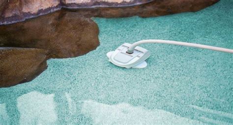 Using a Pool Vacuum 的图像结果