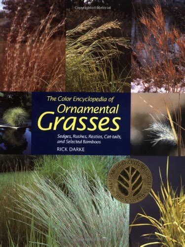Buy The Colour Encyclopedia of Ornamental Grasses: Sedges, Rushes ...