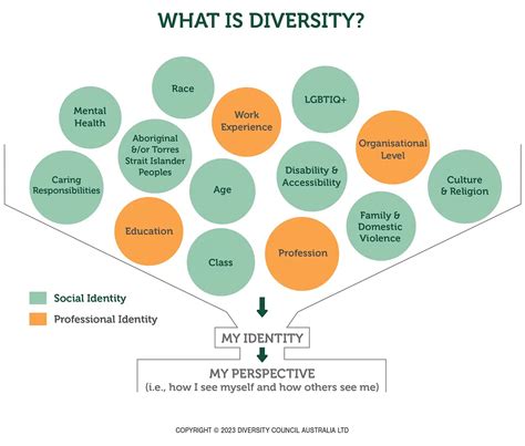 Decoding Diversity: What Does It Really Mean