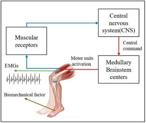 Exercise Condition Sensing in Smart Leg Extension Machine