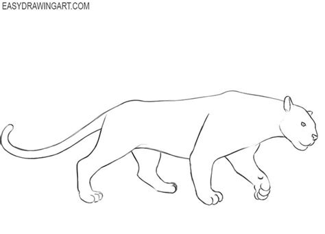 Image result for Draw Panther Tutorial