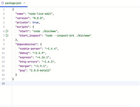 Image result for How to Debug Node.js Code in IntelliJ