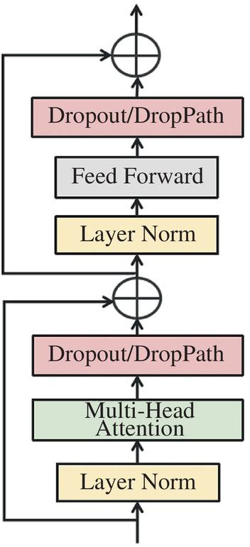 Vision Transformer 的图像结果