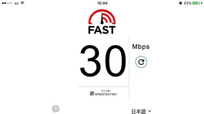 Fast MCP に対する画像結果