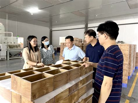 来宾市林业局考察组到崇左市考察木材加工产业-中国木业网