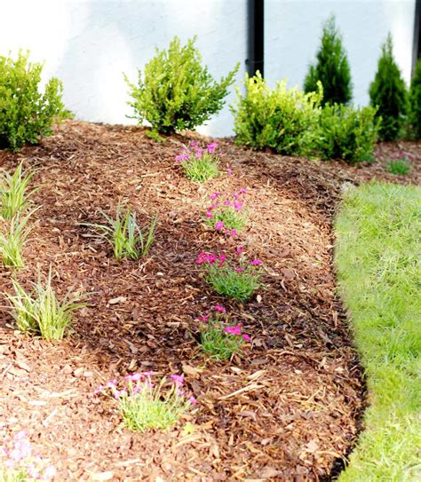 How to Edge a Flower Bed Like a Pro - Plank and Pillow