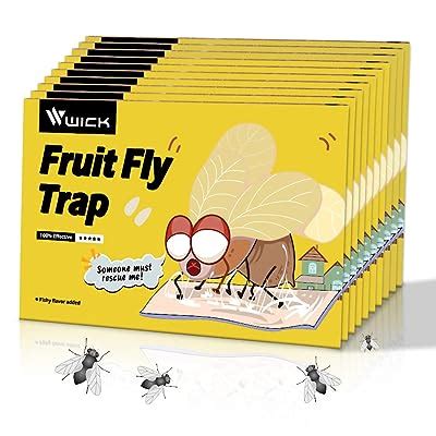 Buy Fruit Fly Traps for Indoors,10Pack Fly Trap Indoor,Sticky Gnat ...