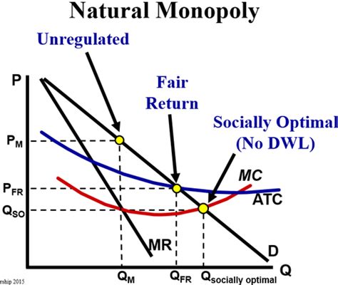 Regulated Monopoly Graph 的图像结果