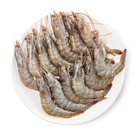 Image result for Shrimp Shell