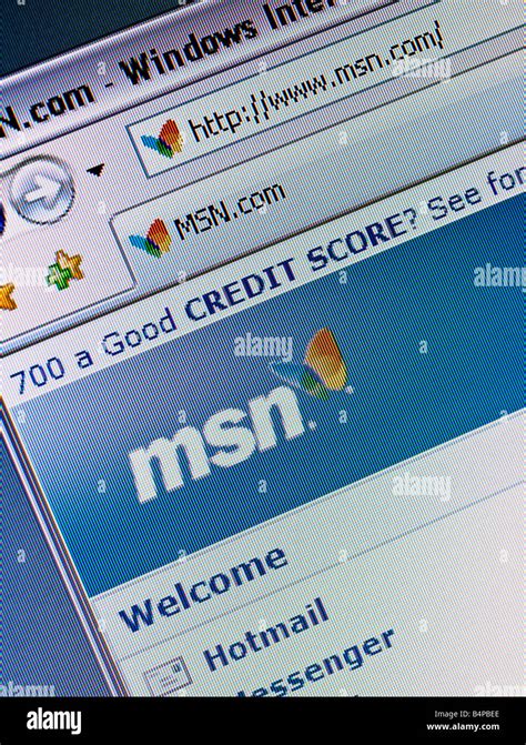 Msn.com Search Engine 的图像结果