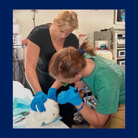 Medical Technology Program 的图像结果