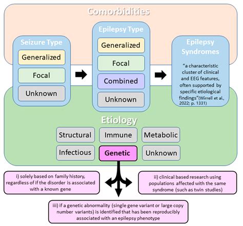 Complexity in Genetic Epilepsies: A Comprehensive Review