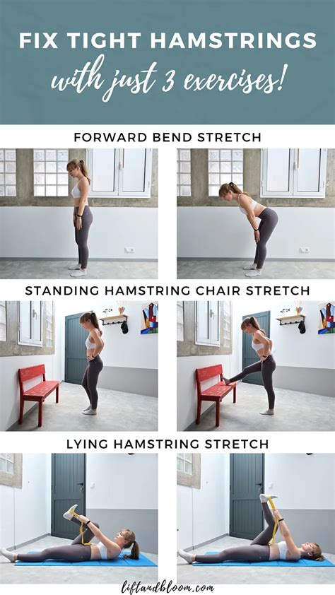Hamstring Stretch Exercise 的图像结果