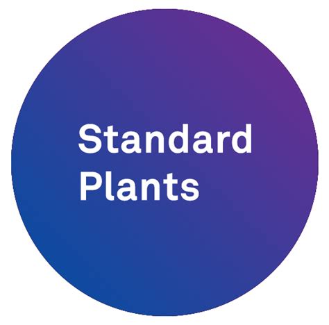 Sequential Batch Reactor Based Sewage Treatment Plant | SBR STP