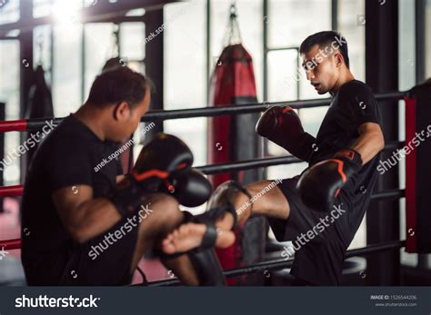 Boxing Sparring 的图像结果