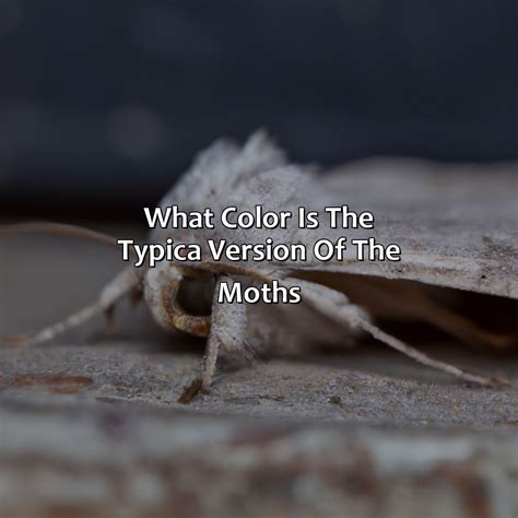 What Color Does Orange And Yellow Make - colorscombo.com