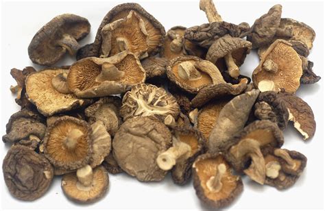 Korean Dried Shiitake Mushroom at Deborah Frias blog