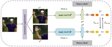 Self-Supervised Action Representation Learning Based on Asymmetric ...