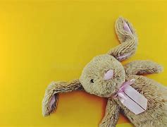 Image result for Rabbit Doll with a Letter