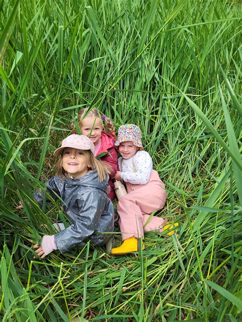 Image result for Nature Program Flow