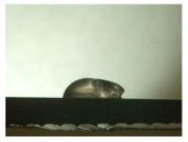 Process Development of a Generative Method for Partial and Controlled ...