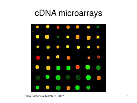 cDNA Microarray 的图像结果