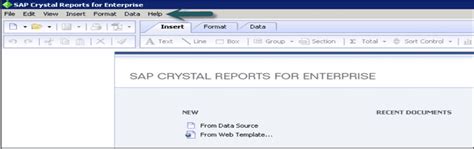 Free Crystal Reports Tutorial 的图像结果
