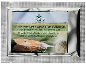 Utkarsh Rice Yellow Stem Borer YSB Lure Scirpophaga Incertulas ...