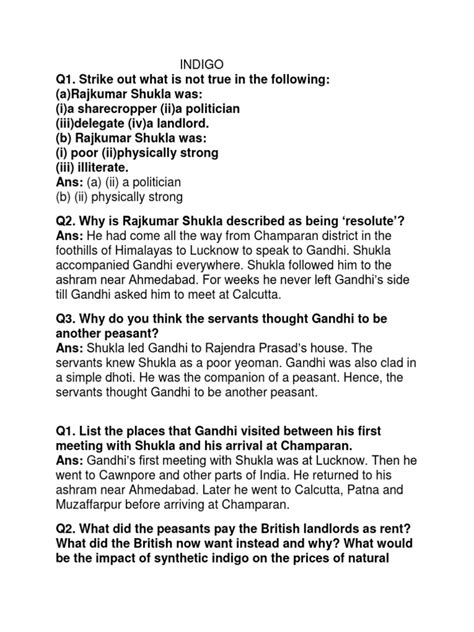 Indigo Class 12 Project File 的图像结果