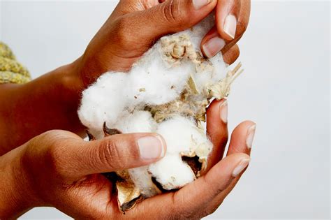 Image result for Understading Thread Count