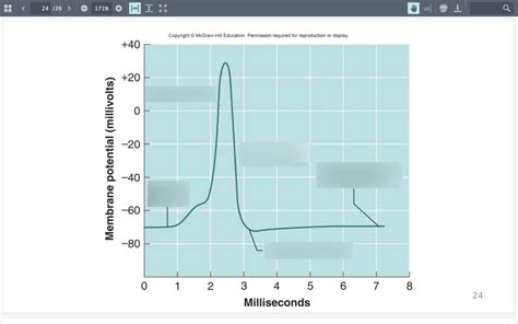 Stages of Action Potential Diagram | Quizlet
